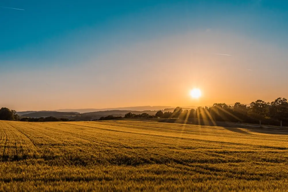 Personeel werven in de agrotechniek