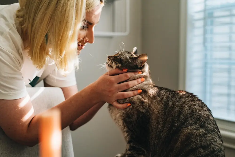 Dierenartsassistent werven via ExclusiveLeads